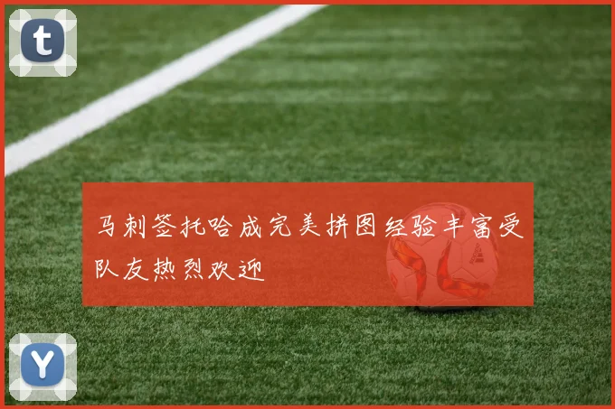 马刺签托哈成完美拼图经验丰富受队友热烈欢迎